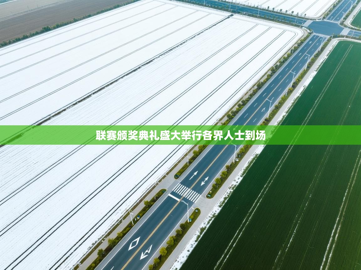 联赛颁奖典礼盛大举行各界人士到场 第2张